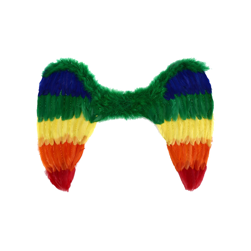 Regenboog veer engel vleugels kostuum