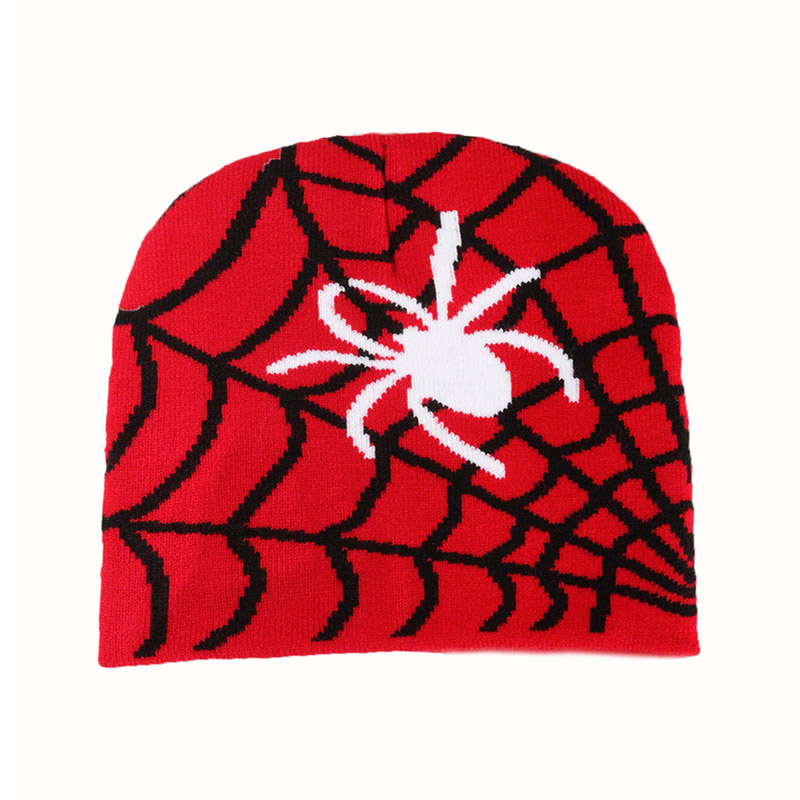 Spider webpatroon gebreide skully cap