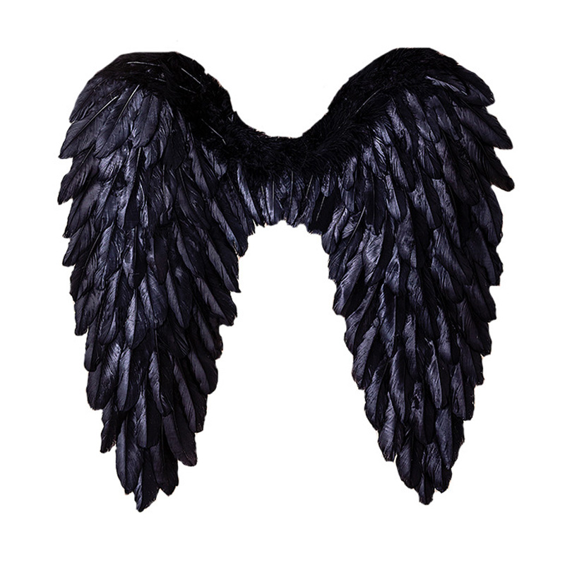 Wit Black Red Pink Feather Angel Wings